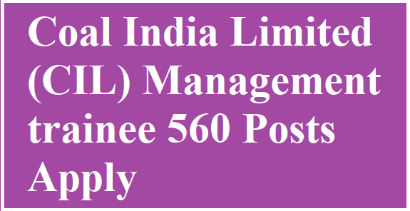 Management trainee